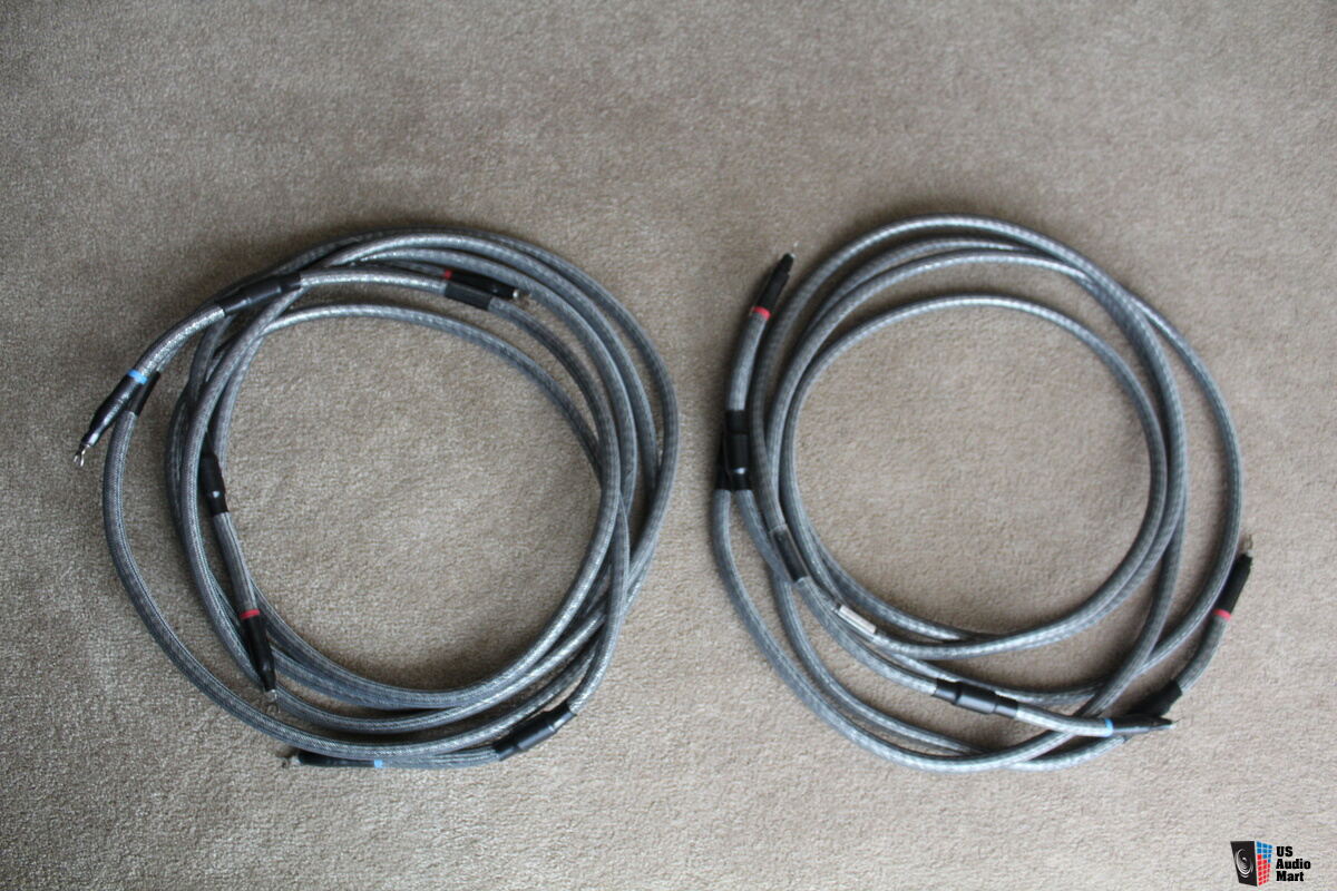 Virtual Dynamics Revelation Series 2 0 Speaker Cables 3 5m Dealer Ad Virtual dynamics revelation series 2 0 speaker cables 3 5m dealer ad