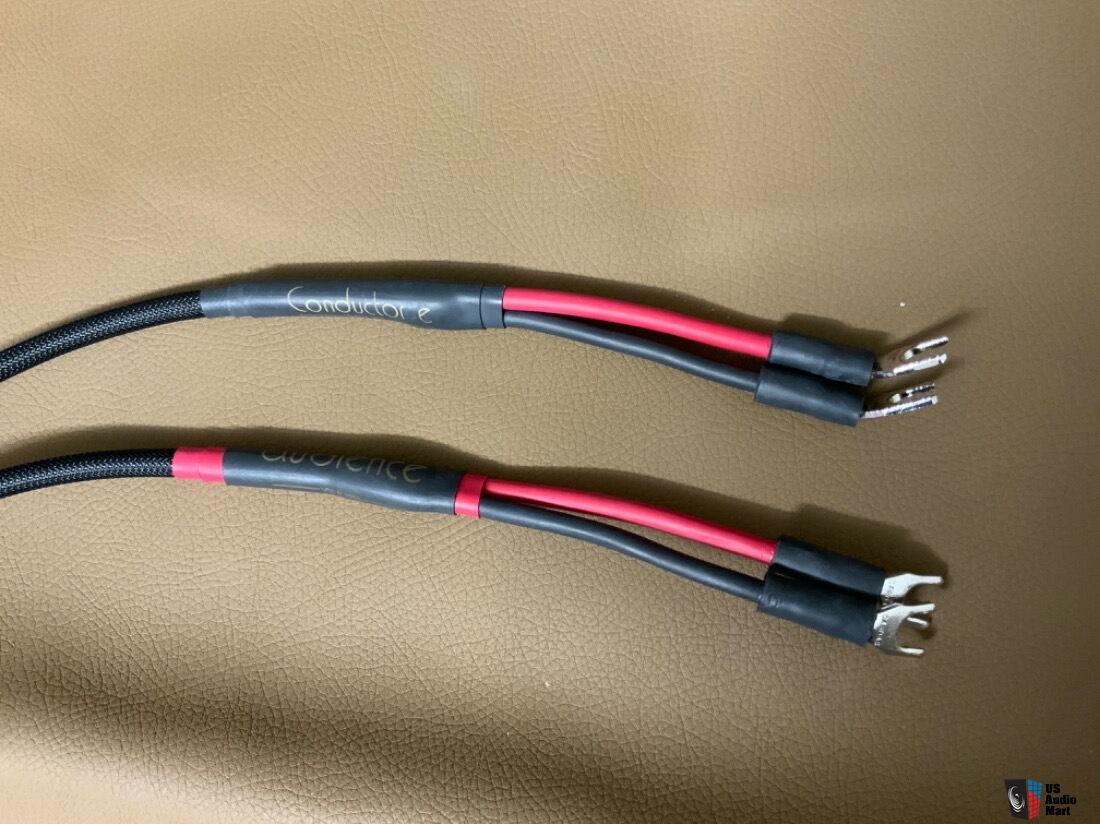 Audience Conductor E Speaker Cables 1 Meter Cardas Spades For Sale 