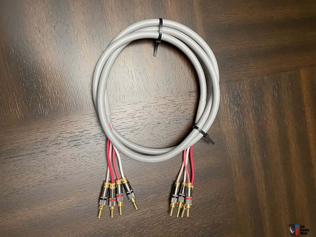 Blue Jeans Canare Bi Wire Speaker Cables (Pair) 6 Feet and 10 Feet