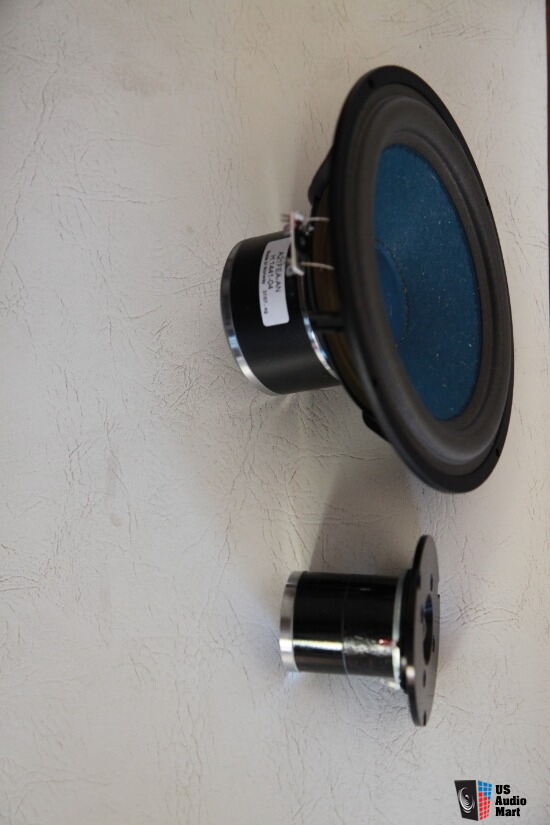 Audio Note An E Speakers Alnico Magnets And Silver Voice Coil Hemp Drivers External Crossover