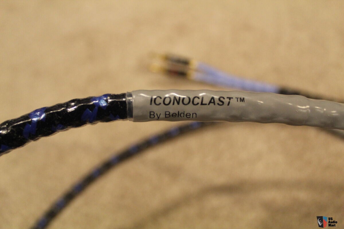 Iconoclast by Belden SPTPC speaker cables. Revolutionary! Photo