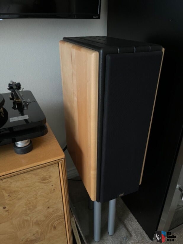 Audio Concepts ( ACI ) Panorama speakers, black/maple - excellent ...