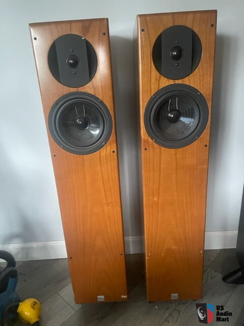 Vienna Acoustics Bach Grand Loudspeakers For Sale - US Audio Mart