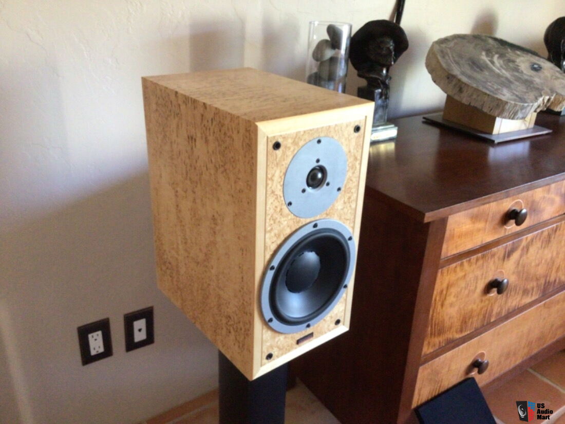 Dynaudio Special 25 in Birdseye Maple Excellent Price Lowered Photo