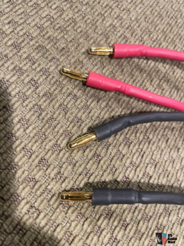 Paire De Câbles Audio RCA Purist Audio Design Panthéon – 5 Ft (1.5m) – Occasion état Soigné