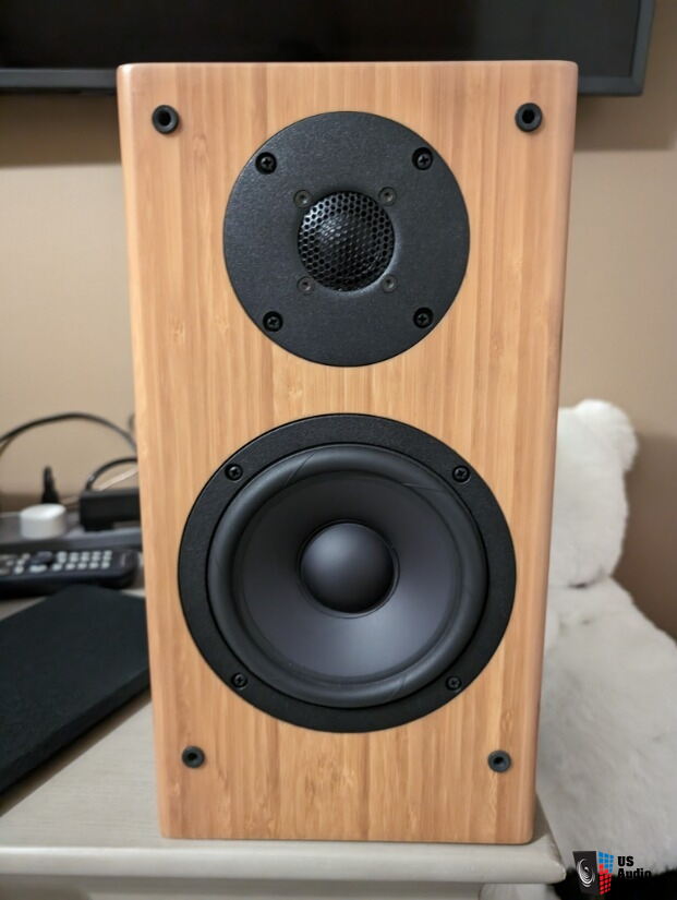 Ascend Acoustics Sierra LX ほぼ新品 エージングのみ 【公式通販】