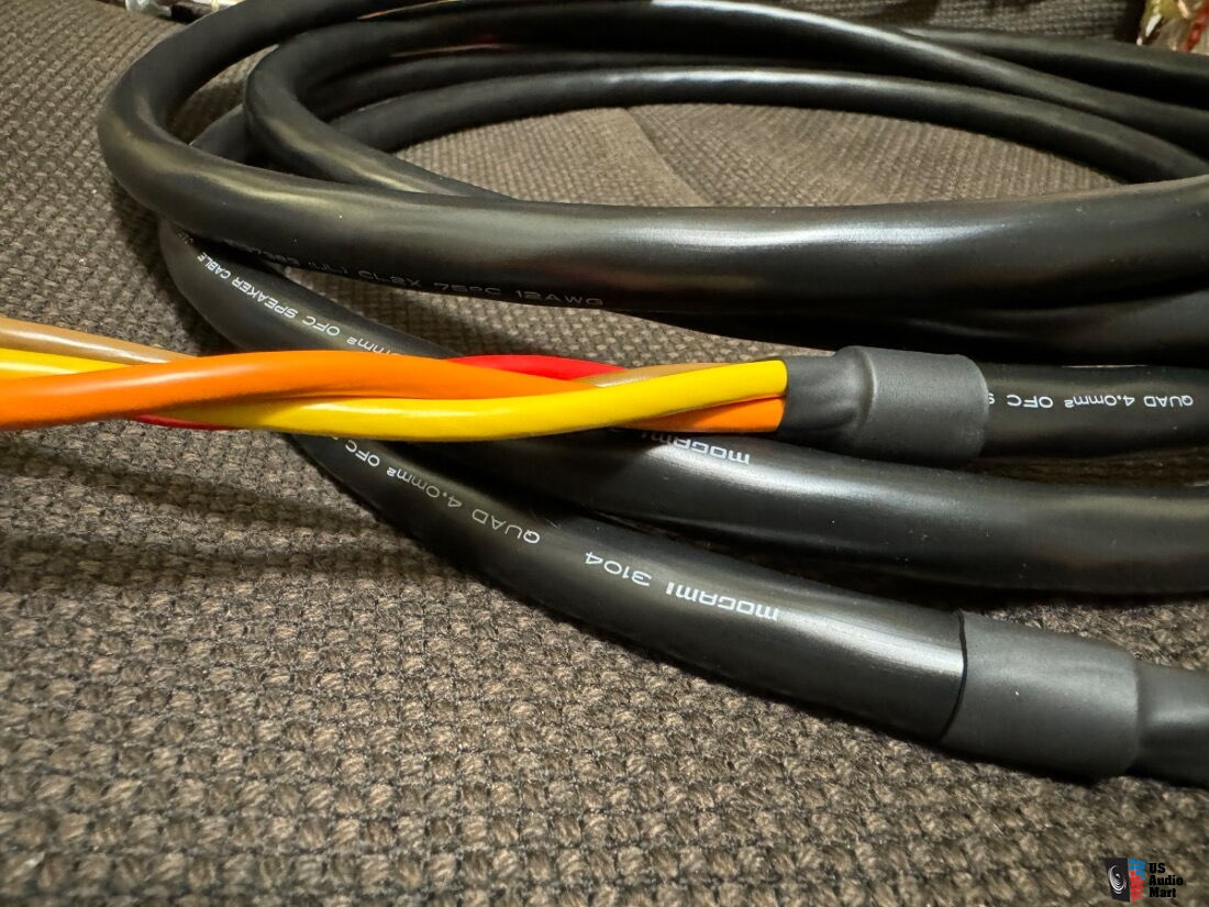 https://img.usaudiomart.com/uploads/large/4895826-c1e99507-mogami-furutech-speaker-cables-9awg-23-meter-nice.jpg