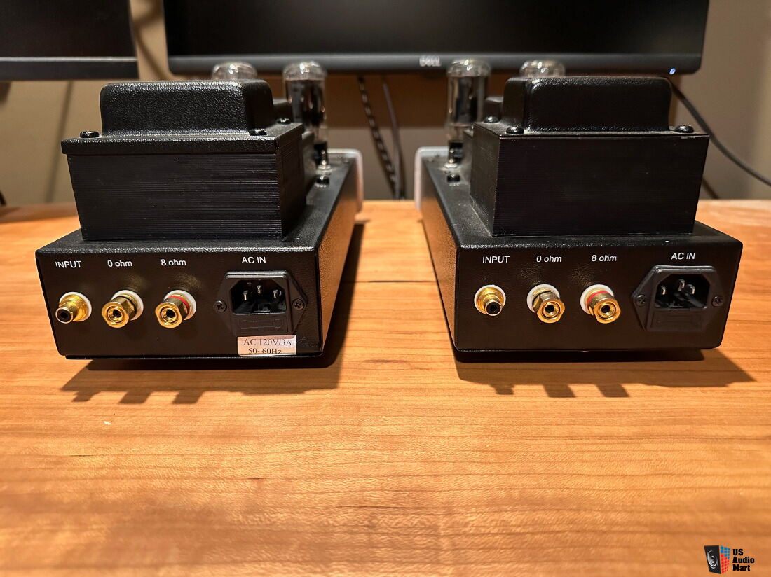 Antique Sound Lab (ASL) Wave AV-25 Tube Amp Photo #5187561
