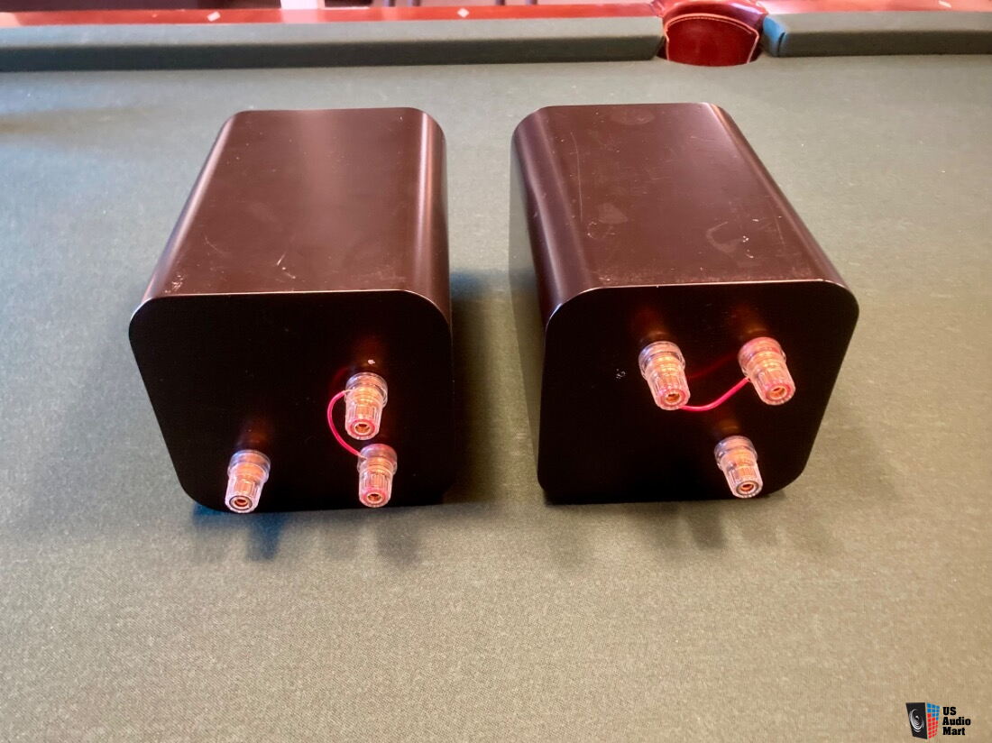 Raven Super Tweeters by Tonian Labs Photo #5392110 - US Audio Mart