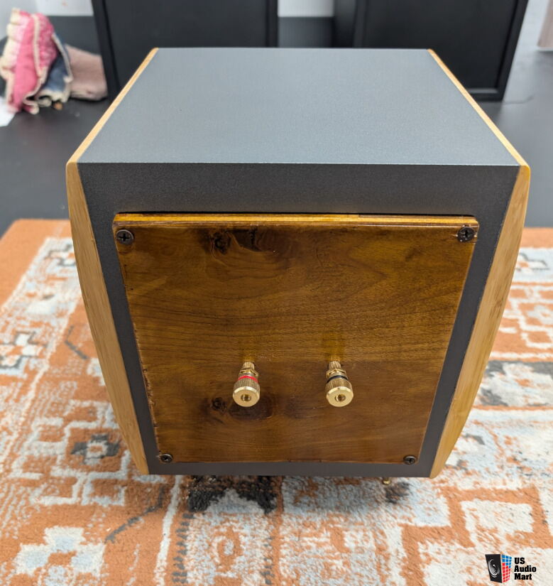 GLOW Audio PASSIVE Sub One w/ Outboard Sub Amp! Photo #5697396 - US ...