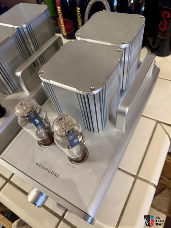 woo-audio-wa5-le-8-watt-dual-chassis-headphone-amplifier-photo