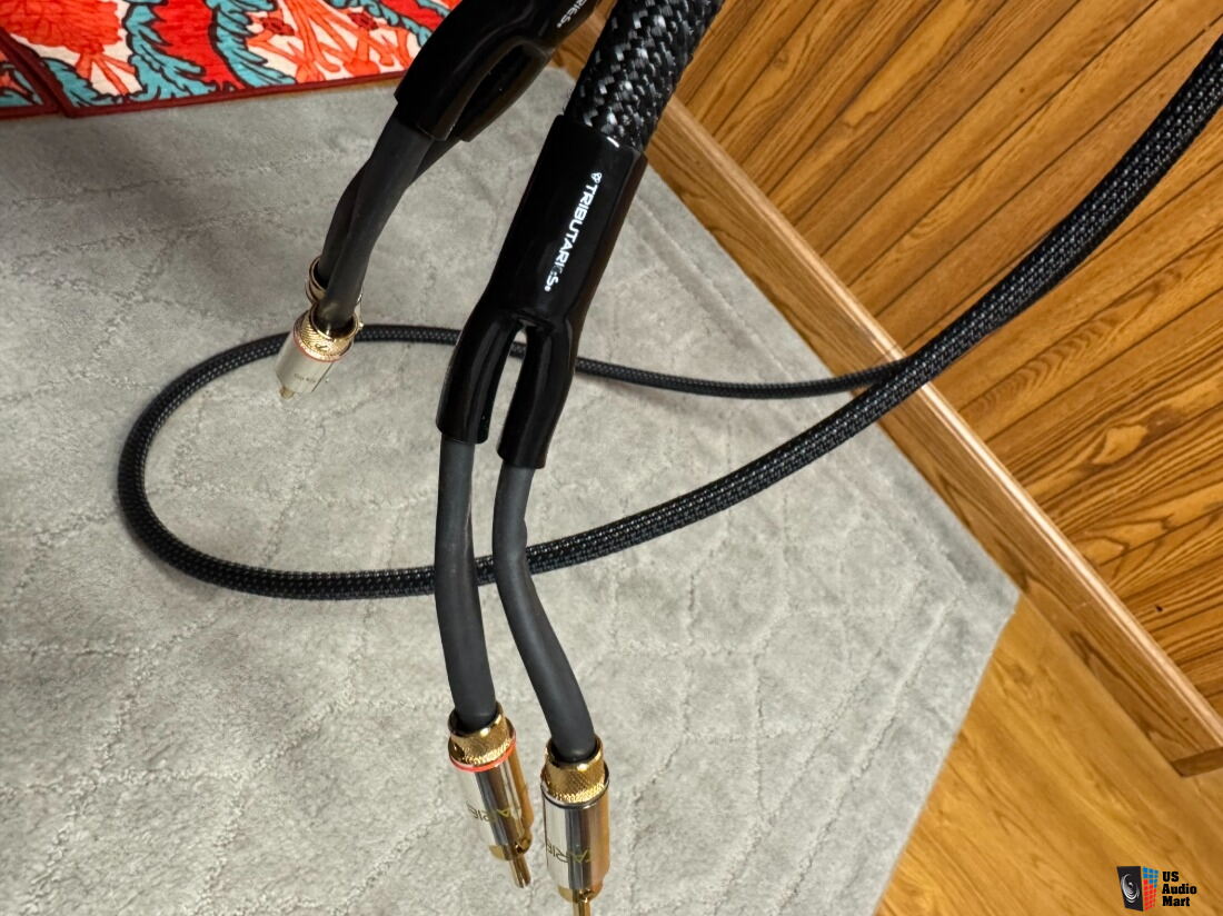 Tributaries Series 8 MkII Speaker Cables (10 FT, Banana) - less than ...
