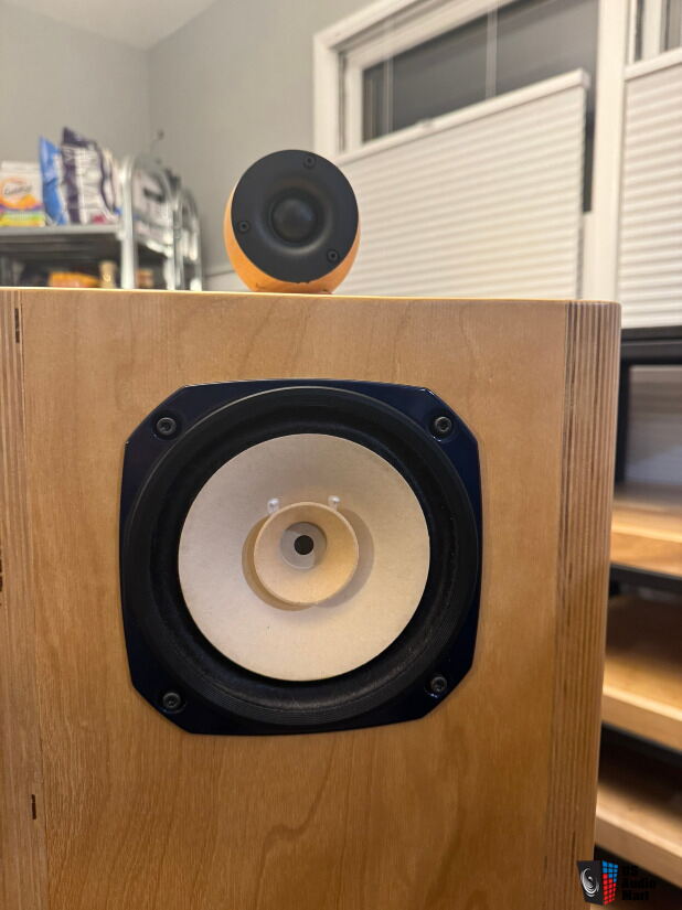Gorgeous Special Edition Fostex FE166ES-R Back Loaded Horn