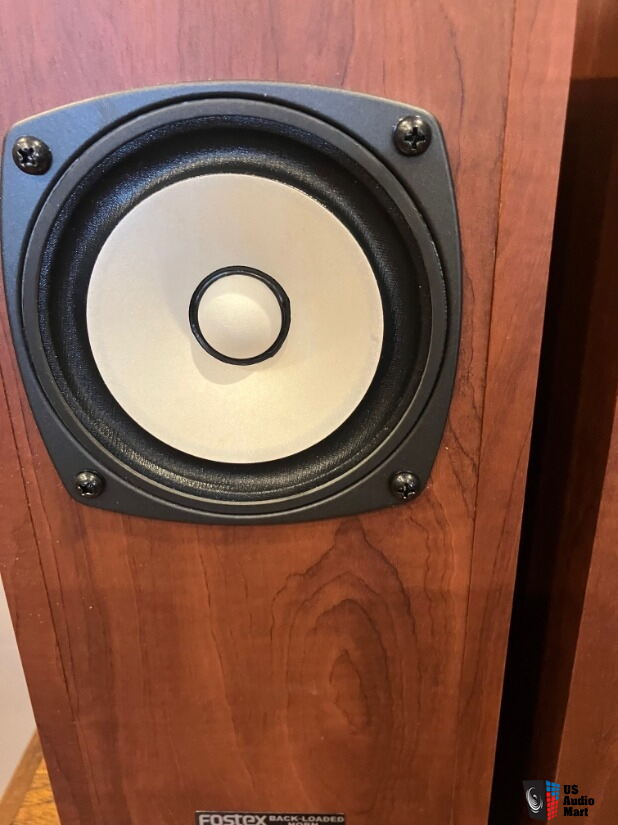 Fostex P1000-BH back-loaded horn speakers - Pair - Madisound For