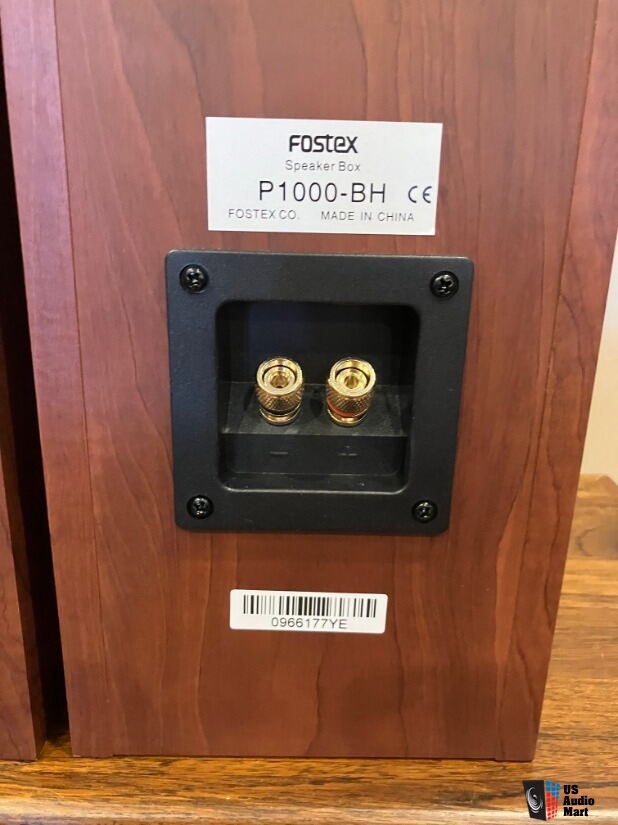 Fostex P1000-BH back-loaded horn speakers - Pair - Madisound For