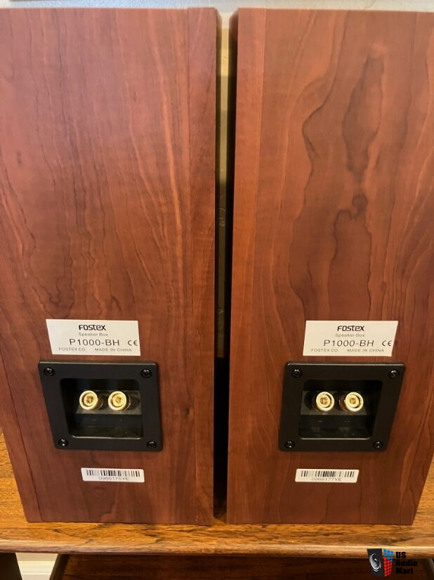 Fostex P1000-BH back-loaded horn speakers - Pair - Madisound For
