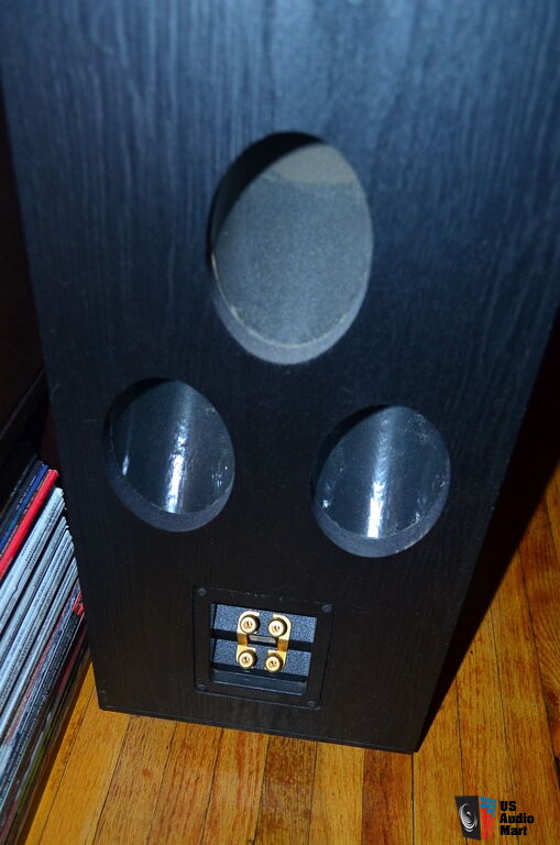 pinnacle classic gold tower speakers