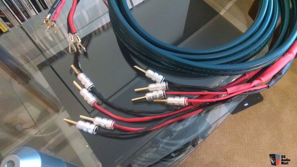 WIREWORLD Atlantis 5 Speaker Cable Photo #931056 - US Audio Mart